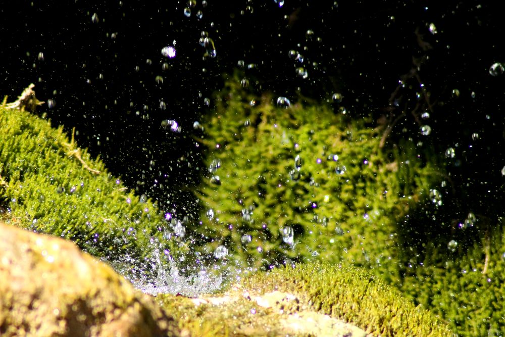 Wasserfall Dreimühlen in Nohn