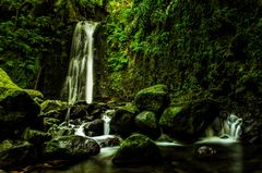 wasserfall dschungel