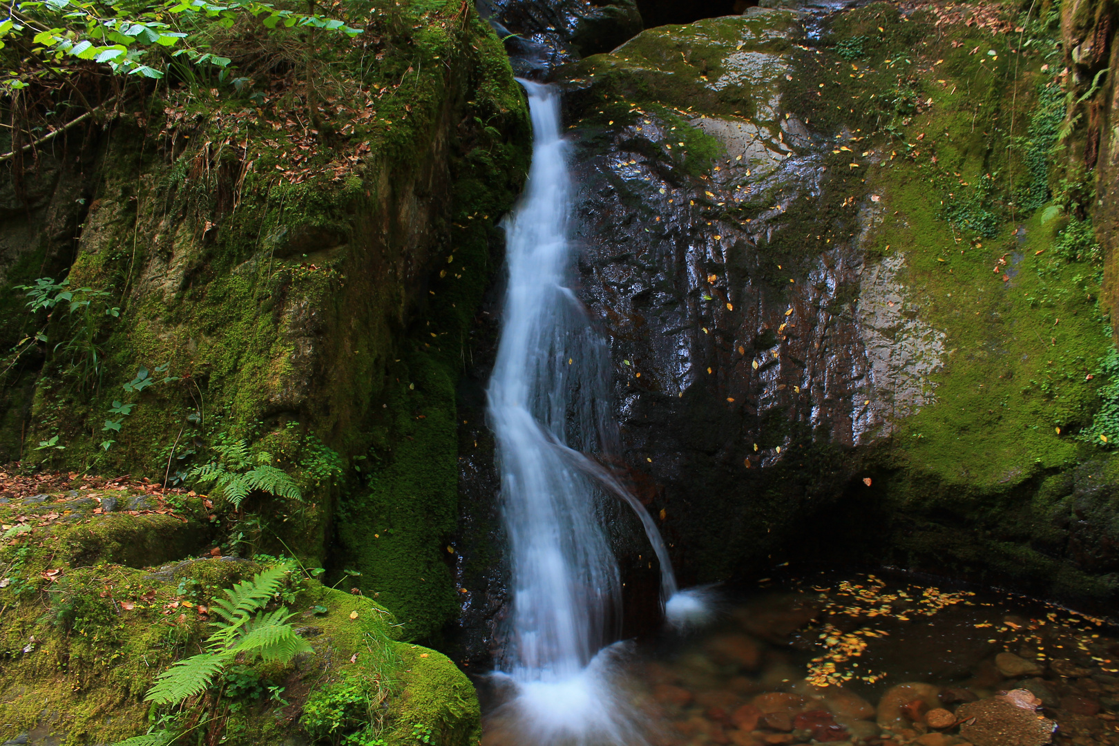 Wasserfall - Edelfrauengrab