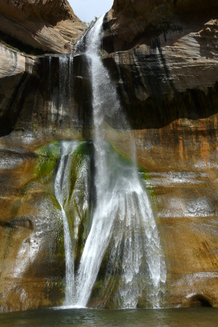 Wasserfall Escalante Calf Creek