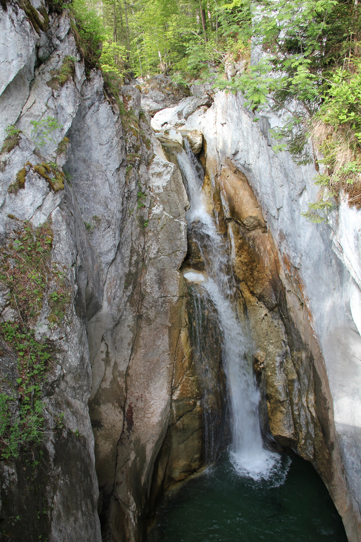 Wasserfall feuriger Tatzlwurm