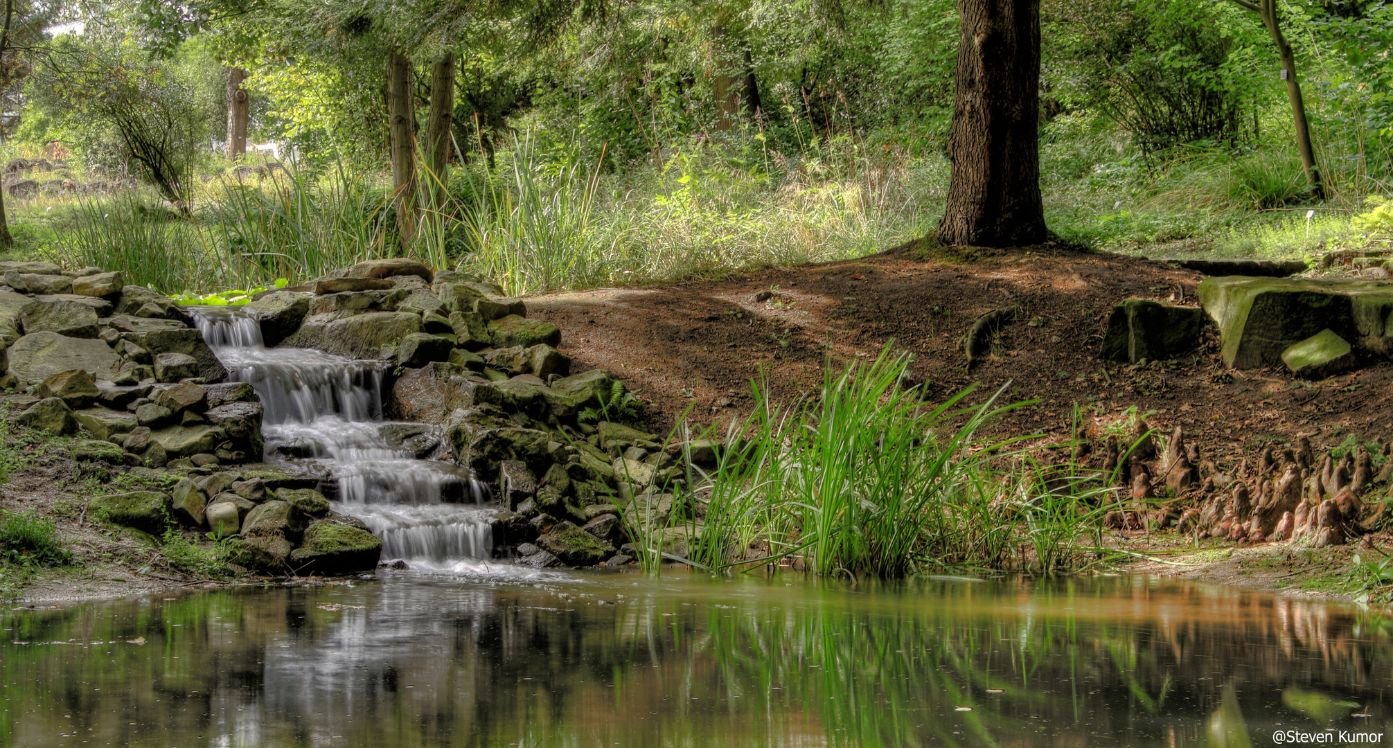 Wasserfall HDR botanisch