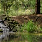 Wasserfall HDR botanisch