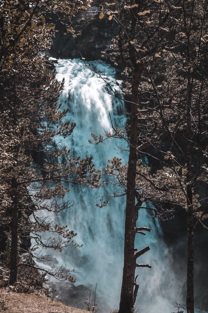 wasserfall hinter den bäumen