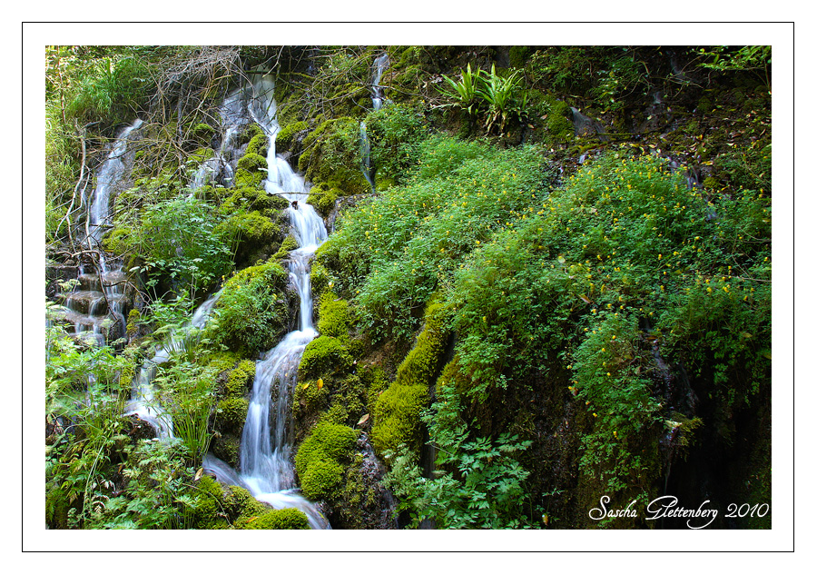 Wasserfall I