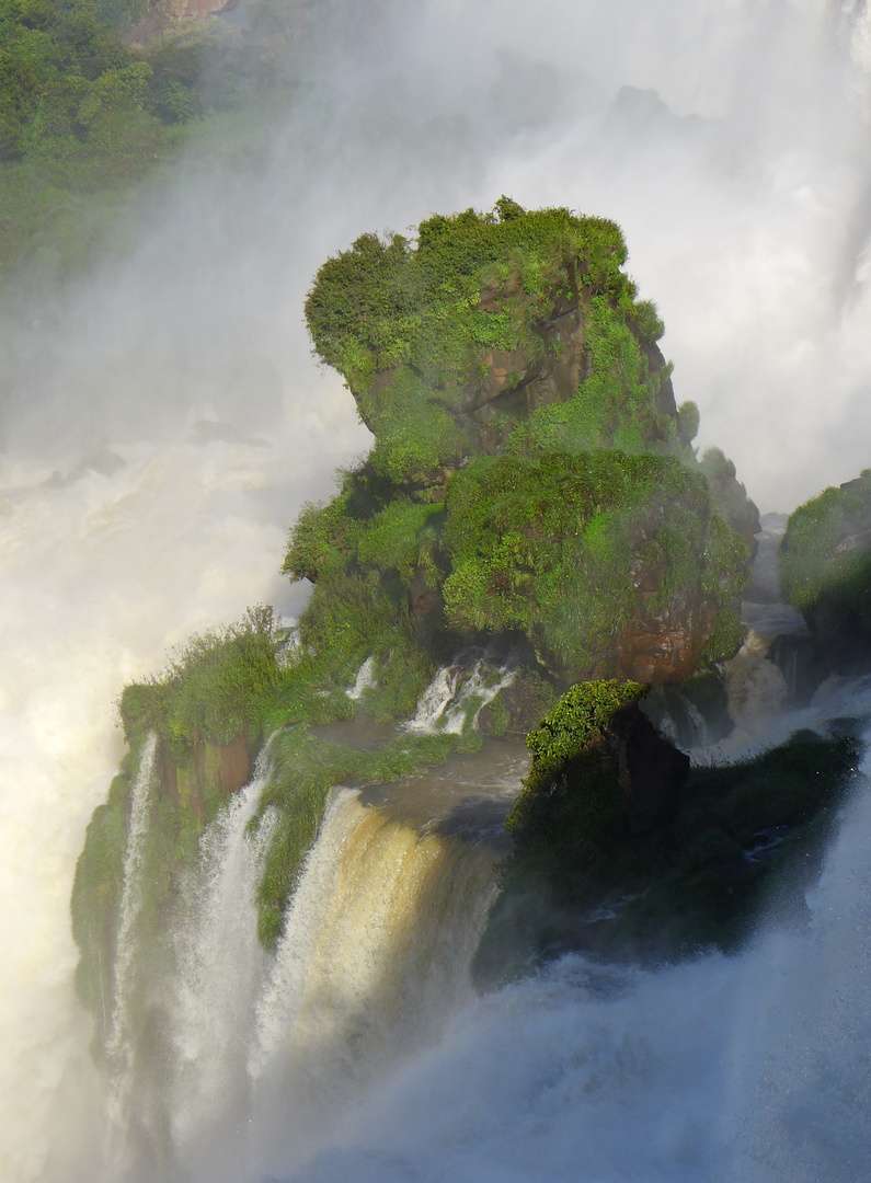 Wasserfall Iguazu 1
