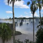 Wasserfall Iguazu 3