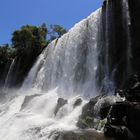 Wasserfall Iguazu