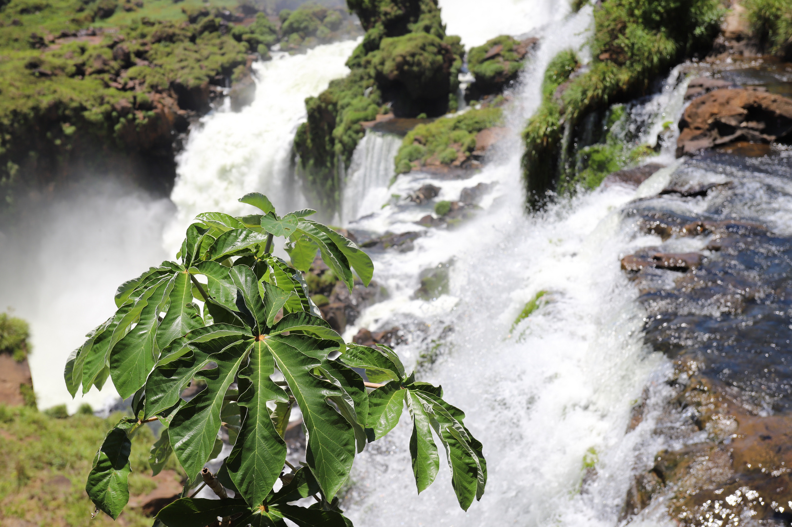 Wasserfall Iguazu