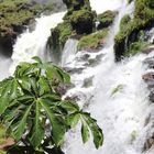 Wasserfall Iguazu