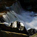 Wasserfall im Auenwald 2