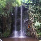 Wasserfall im Burger Zoo