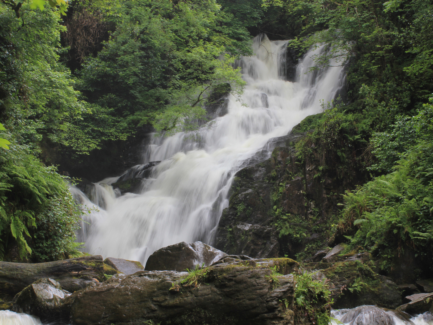 Wasserfall im dichten Wald