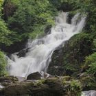 Wasserfall im dichten Wald