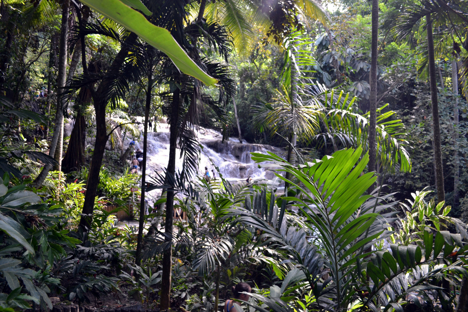 Wasserfall im Dschungel