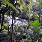 Wasserfall im Dschungel