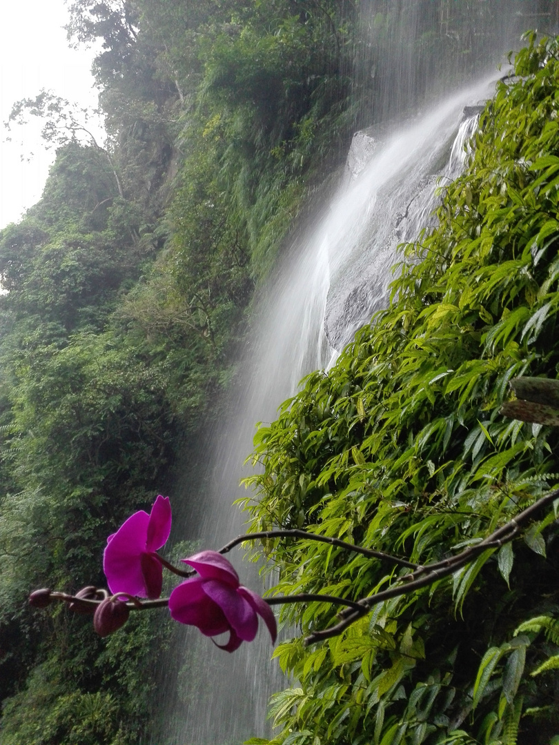 Wasserfall im Dschungel bei Taipei/Taiwan