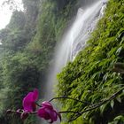 Wasserfall im Dschungel bei Taipei/Taiwan