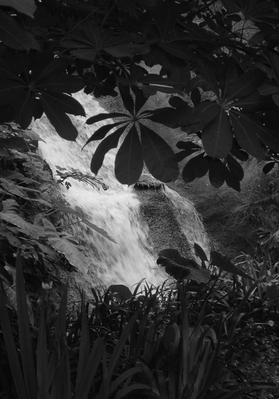 Wasserfall im Eden Project in Cornwall