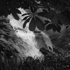 Wasserfall im Eden Project in Cornwall