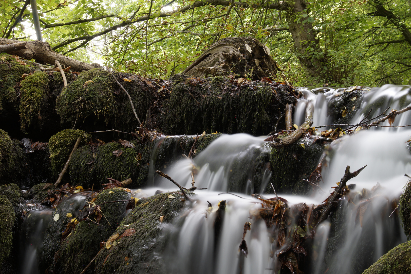 Wasserfall im Elm