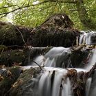 Wasserfall im Elm