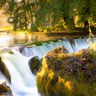 Wasserfall im Englischen Garten