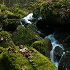 Wasserfall im Gertelbach