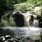 Wasserfall im Glenariff Forest Park