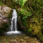 Wasserfall im Gottschlägtal