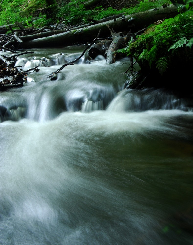 Wasserfall im Grünen