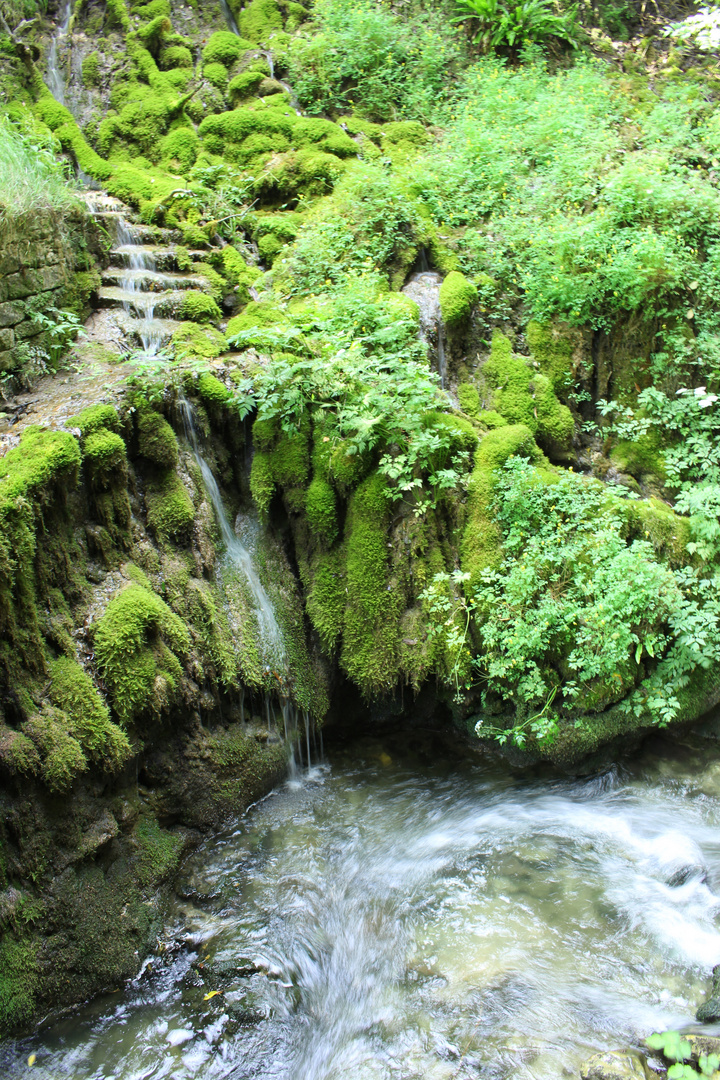 Wasserfall im Grünen