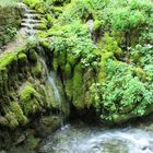 Wasserfall im Grünen