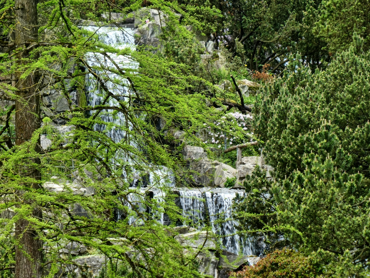 Wasserfall im GRUGAPARK 