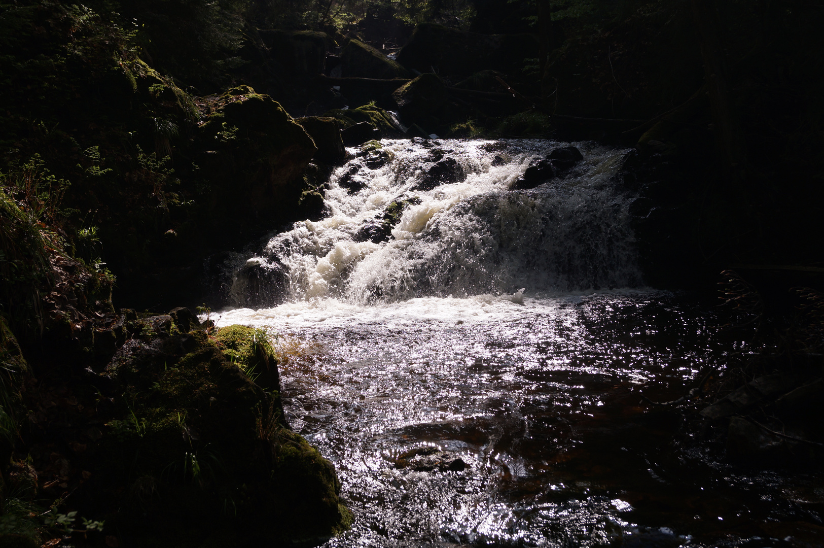 Wasserfall im Harz