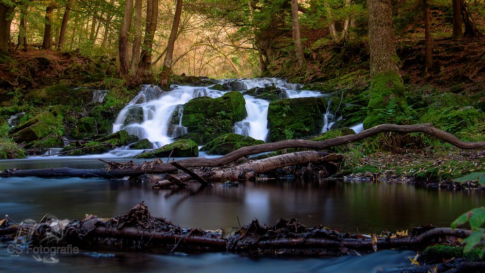 Wasserfall im Harz