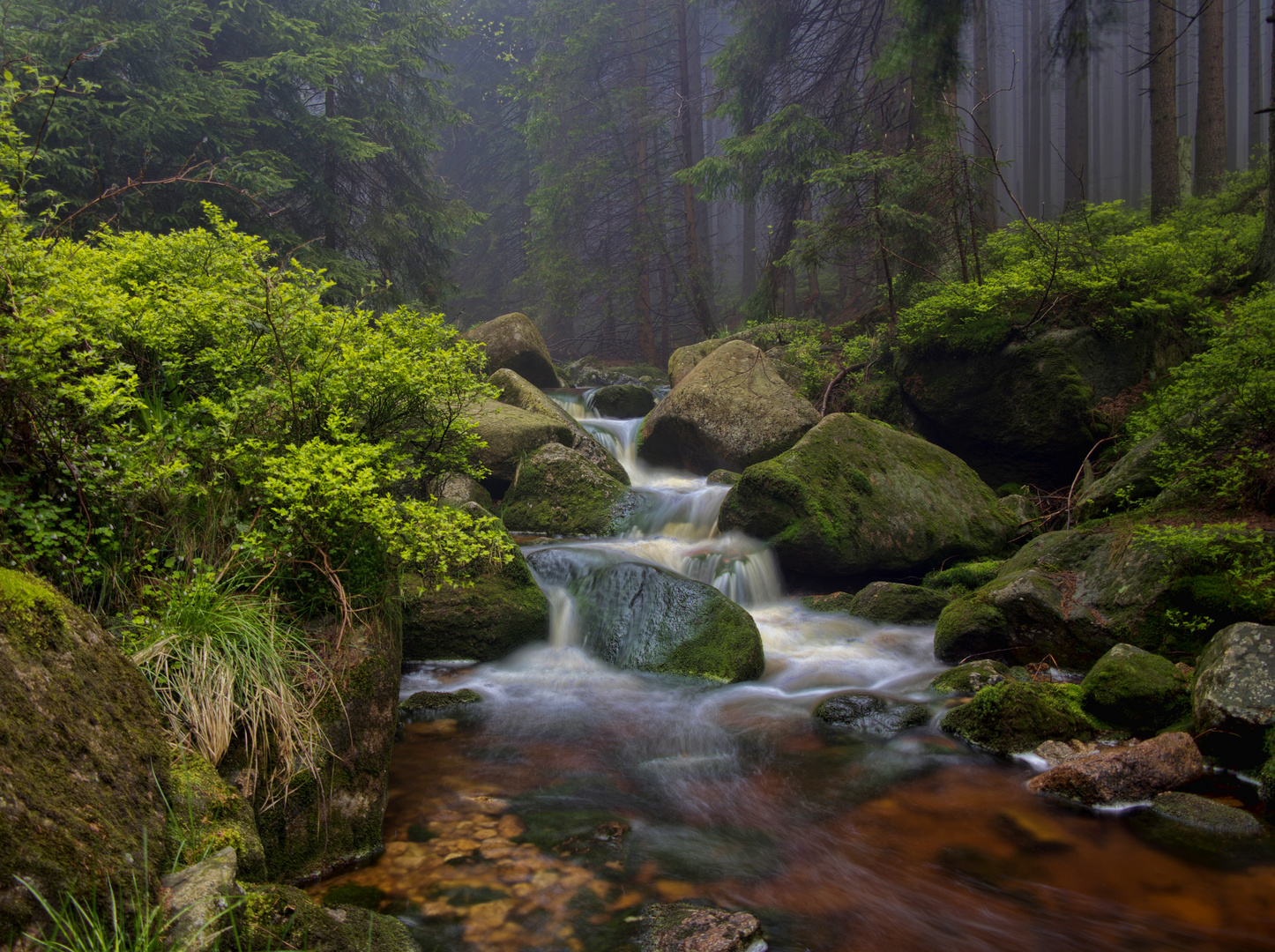 Wasserfall im Harz