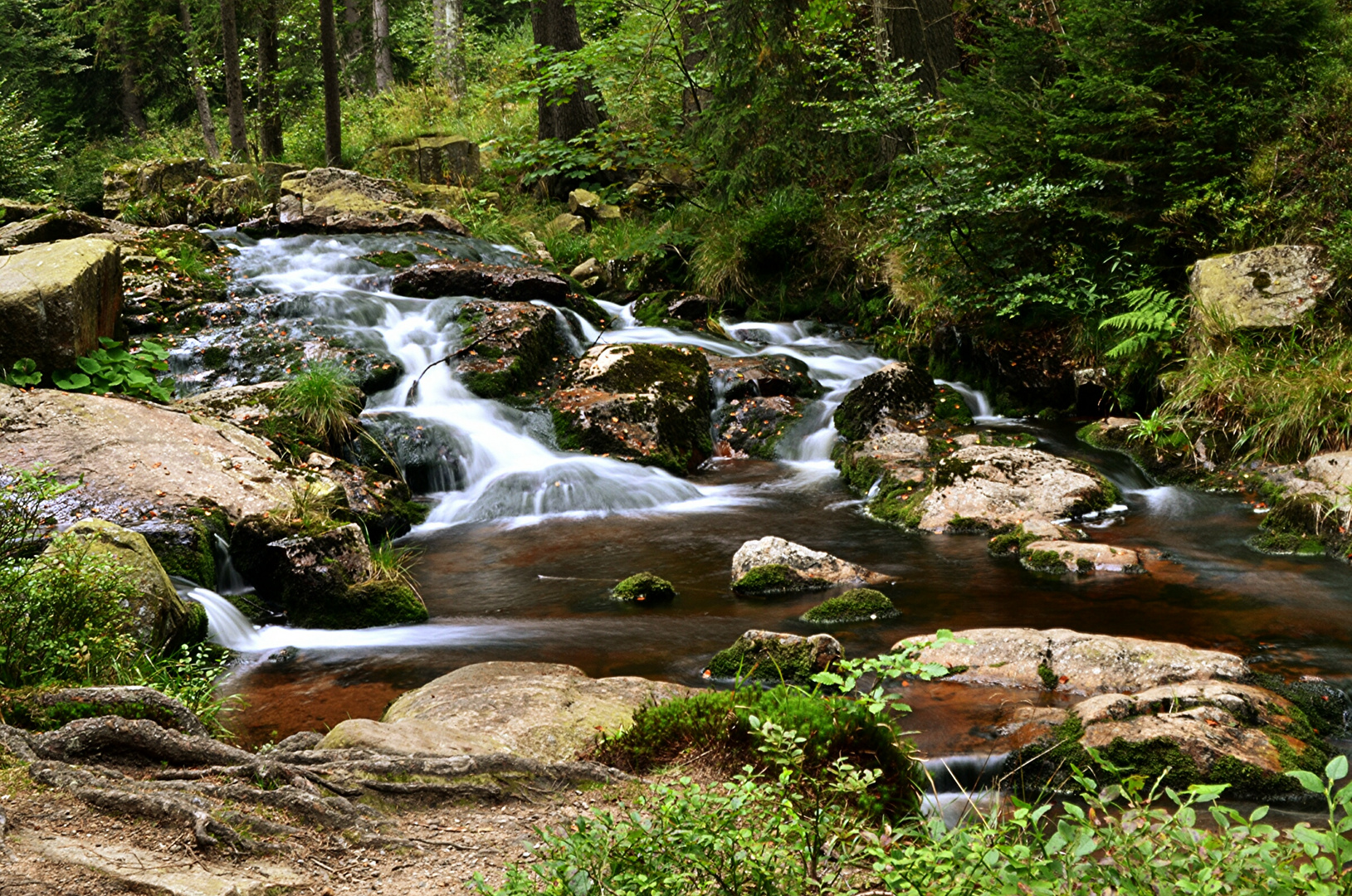 Wasserfall im Harz