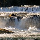 Wasserfall im Herbst