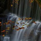 Wasserfall im Herbst