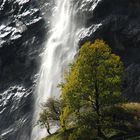 Wasserfall im herbstlichem Licht