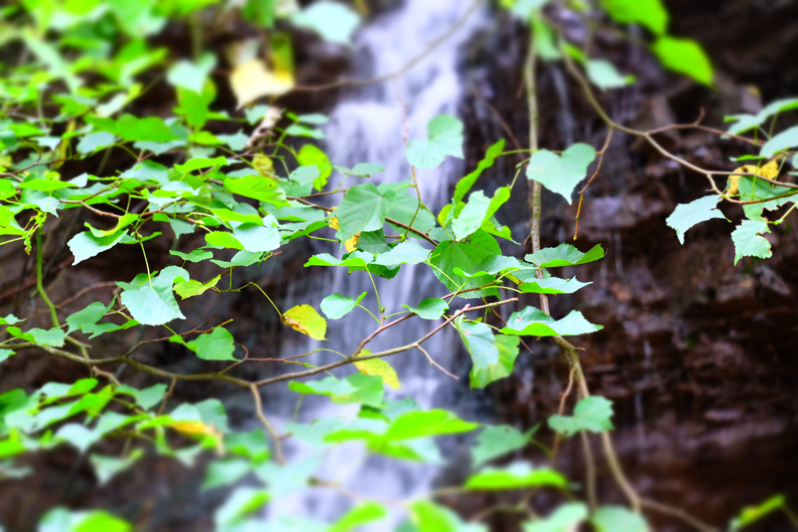 Wasserfall im Hintergrund.