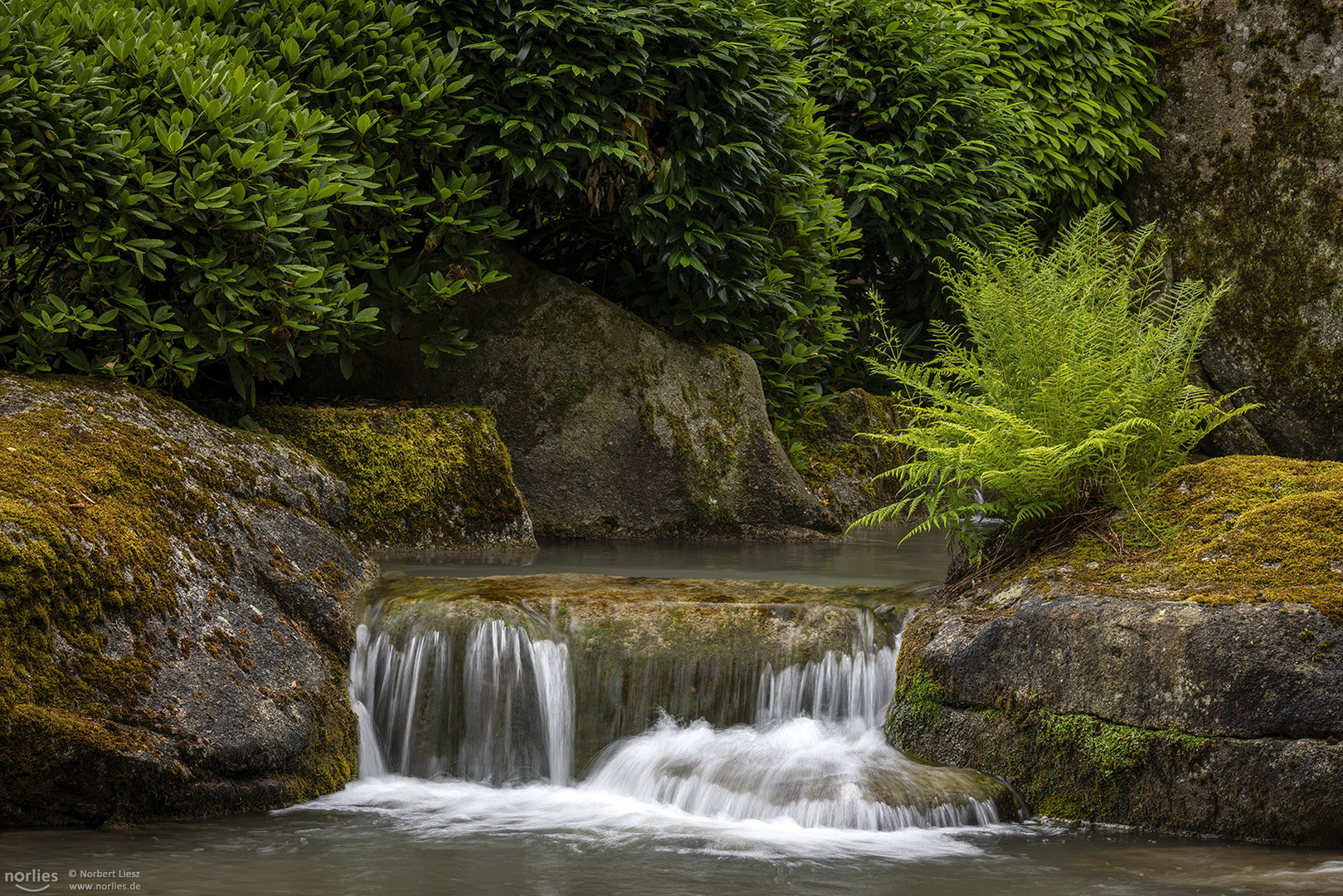 Wasserfall im Japangarten