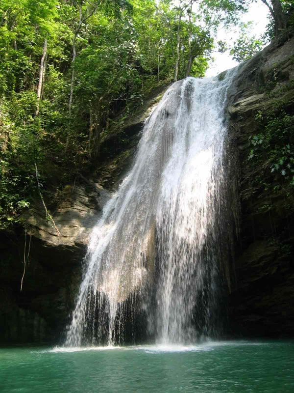 Wasserfall im Jungle