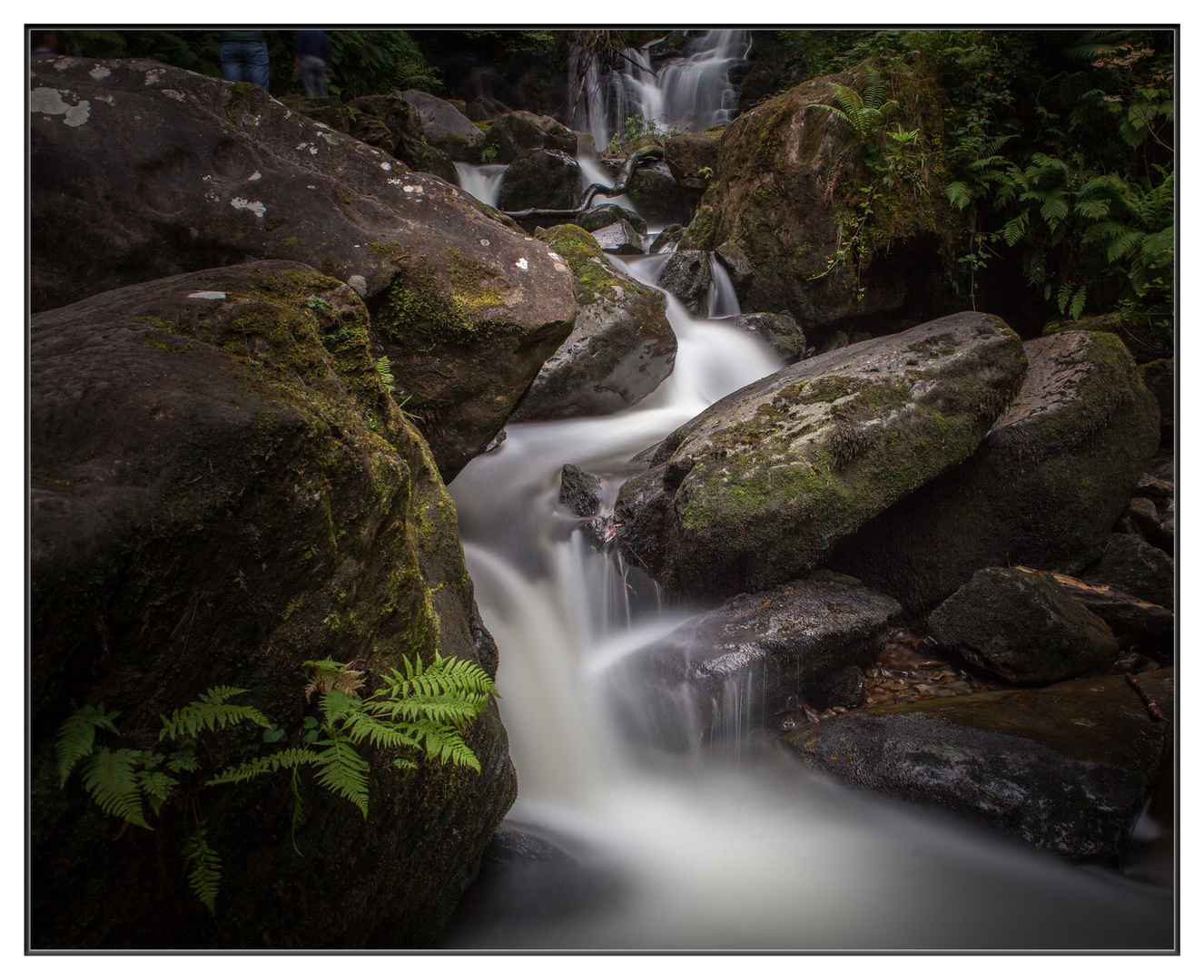 Wasserfall im Killarney National Park