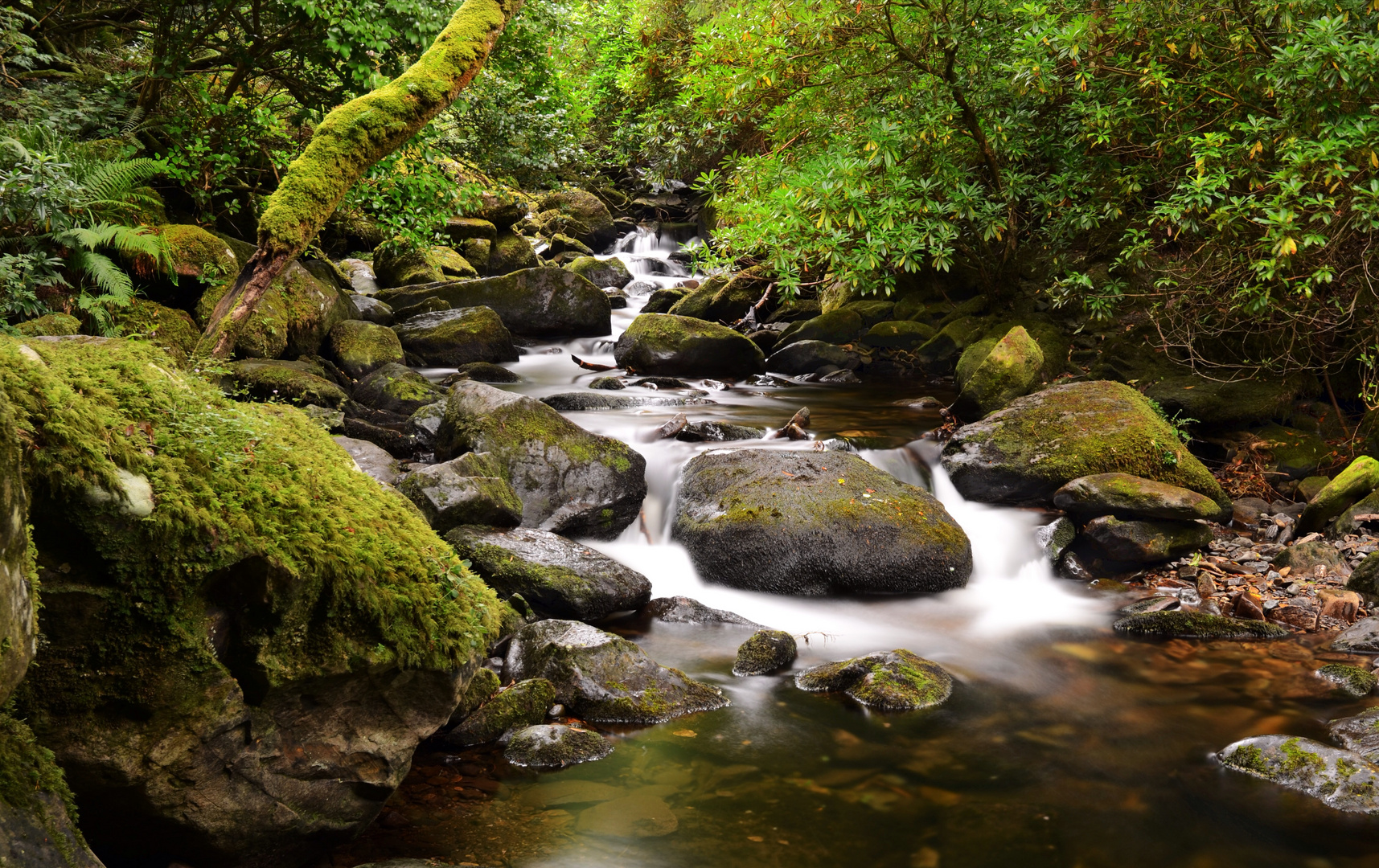 Wasserfall im Killarney Nationalpark