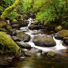 Wasserfall im Killarney Nationalpark