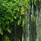 Wasserfall im kleinen