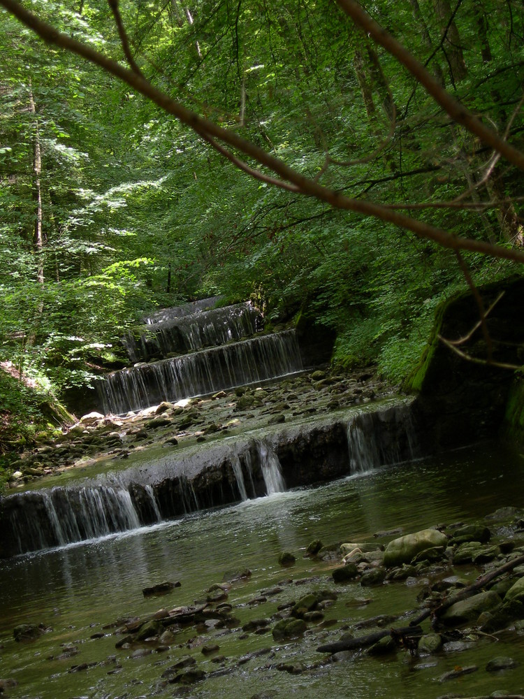 Wasserfall im Küsnachter Tobel