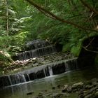 Wasserfall im Küsnachter Tobel